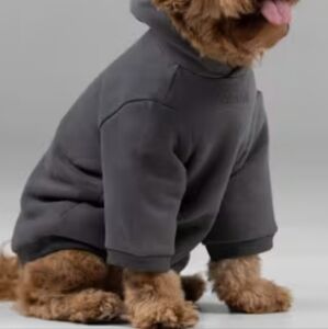 Cozy Gray Dog Hoodie